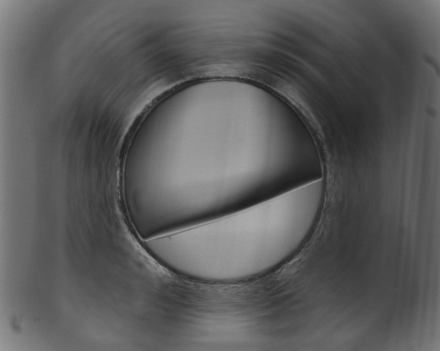 X0000102040992200807181025