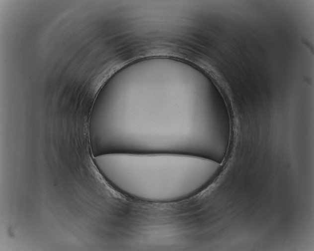 X0000102040993200807181025