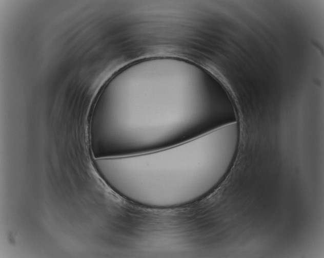 X0000102040996200807181025