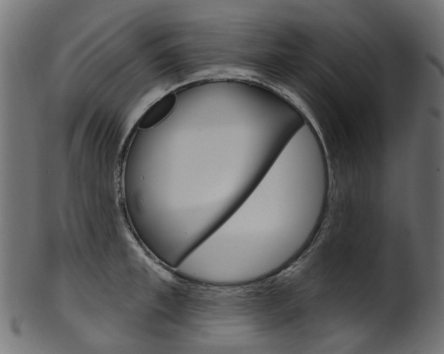 X0000102040997200807181025