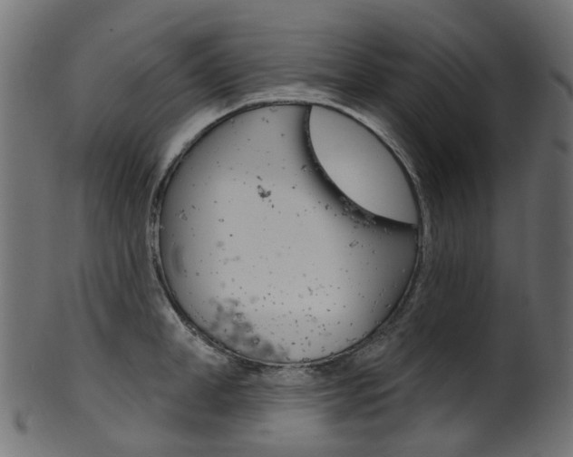 X0000102040998200807181025