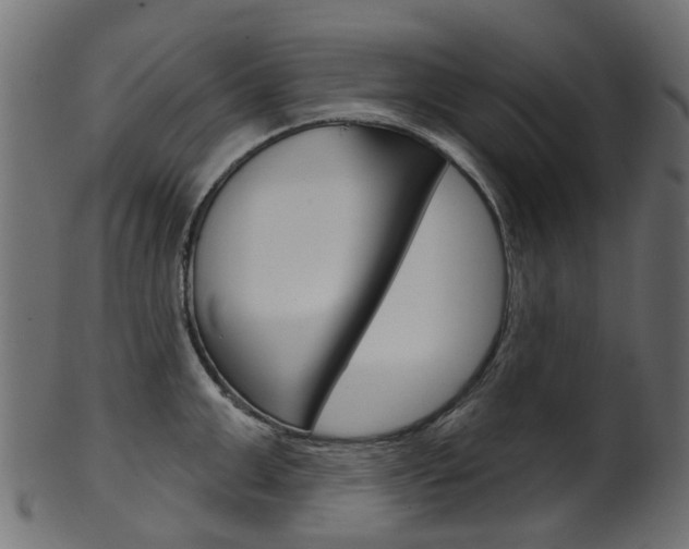 X0000102040999200807181025