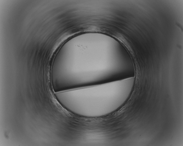 X0000102041000200807181025
