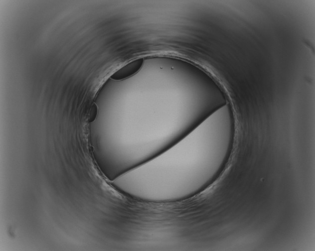 X0000102041001200807181025