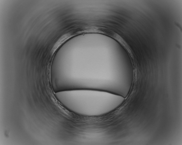 X0000102041002200807181025