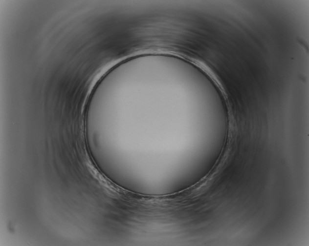 X0000102041004200807181025