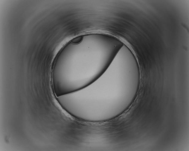 X0000102041005200807181025