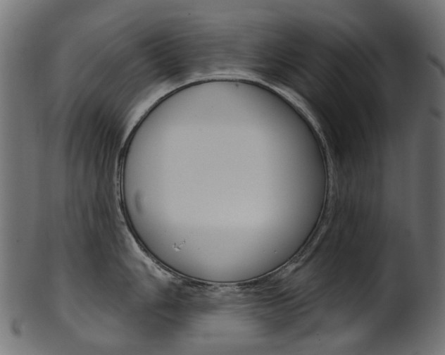X0000102041006200807181025