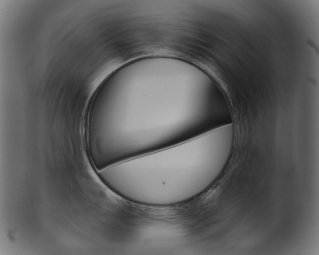 X0000102041007200807181025