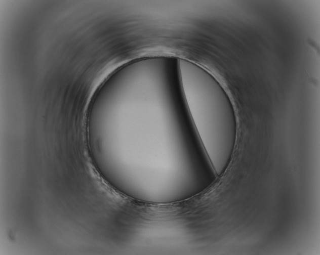 X0000102041008200807181025