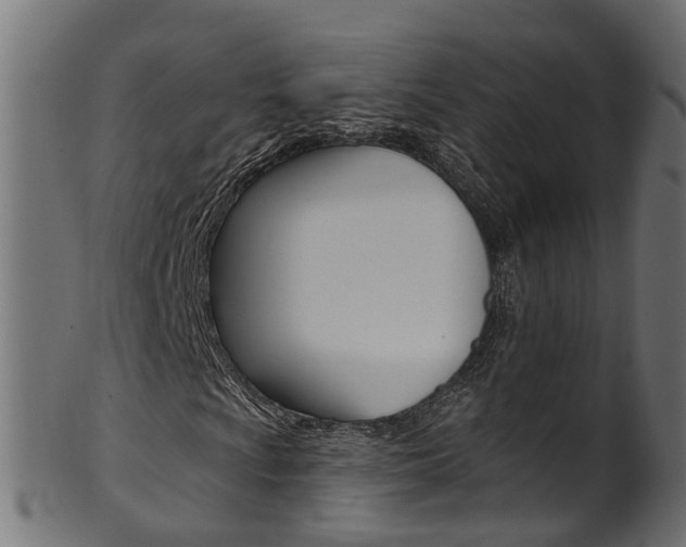 X0000102041009200807181025