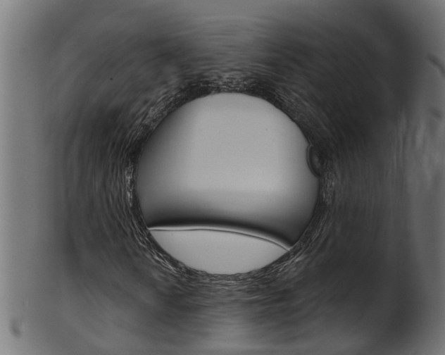 X0000102041010200807181025