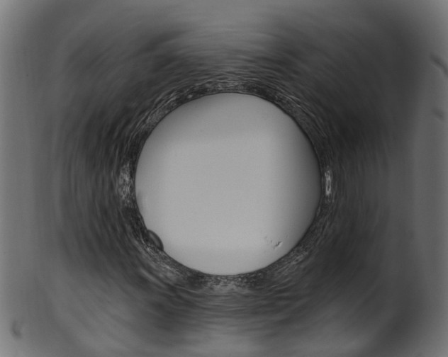 X0000102041011200807181025