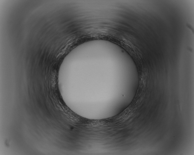 X0000102041012200807181025