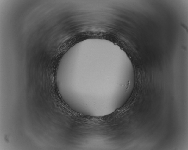 X0000102041013200807181025