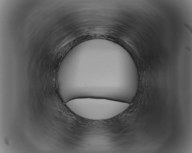 X0000102041015200807181025