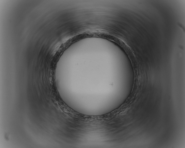 X0000102041016200807181025