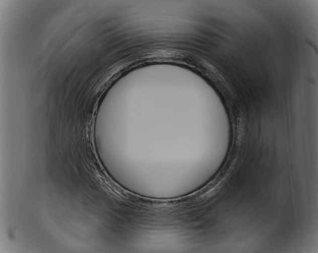 X0000102041017200807181025
