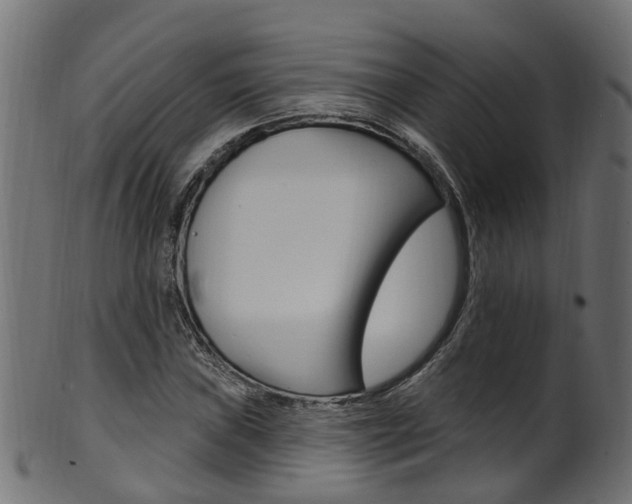 X0000102041019200807181025