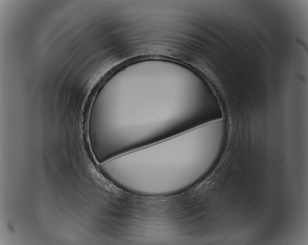 X0000102041020200807181025