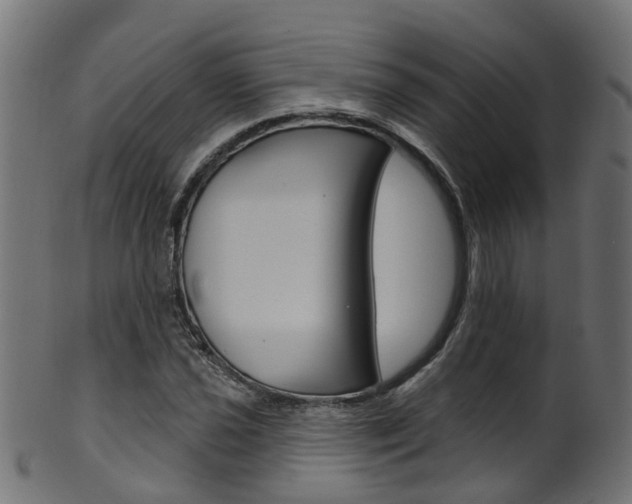 X0000102041021200807181025