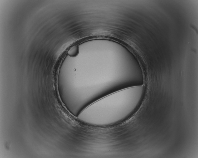 X0000102041022200807181025
