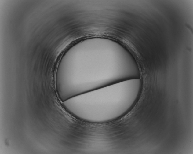 X0000102041023200807181025