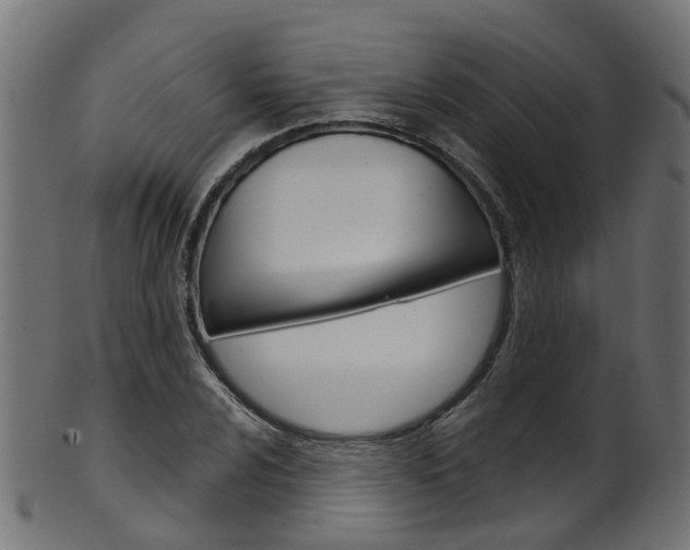 X0000102041024200807181025