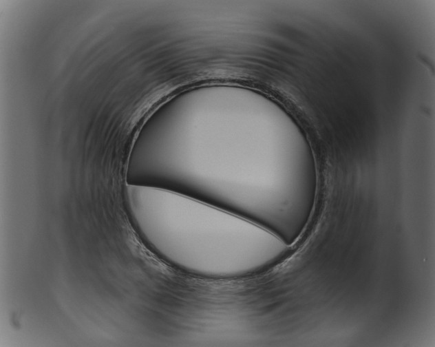 X0000102041025200807181025