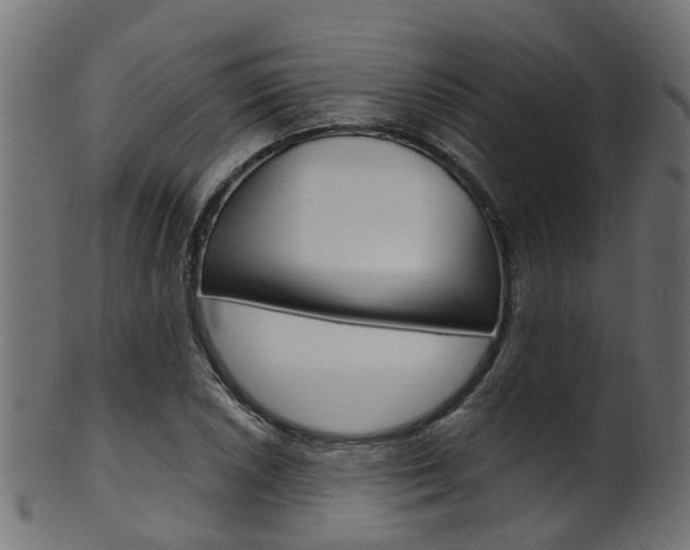 X0000102041026200807181025