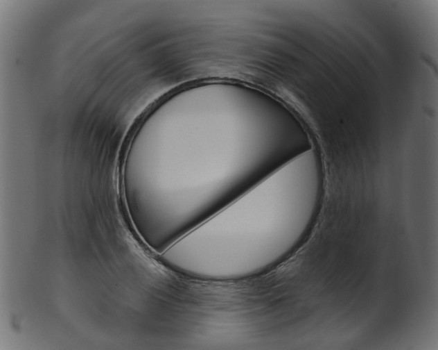 X0000102041028200807181025