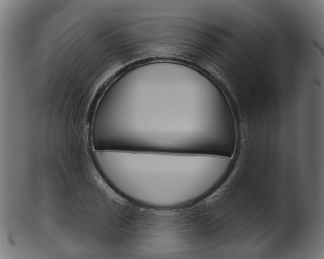 X0000102041029200807181025