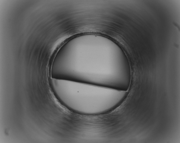 X0000102041030200807181025