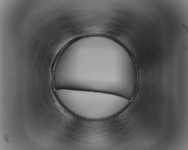 X0000102041031200807181025