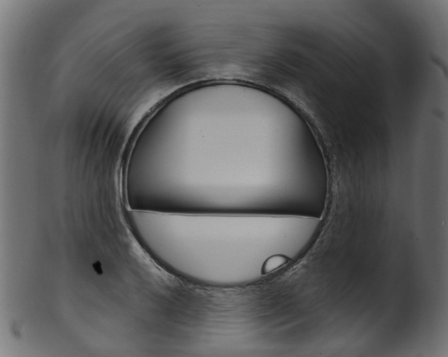 X0000102041032200807181025