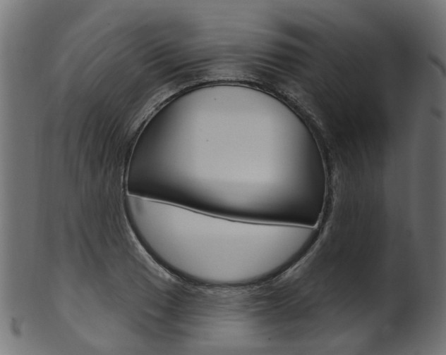 X0000102041033200807181025