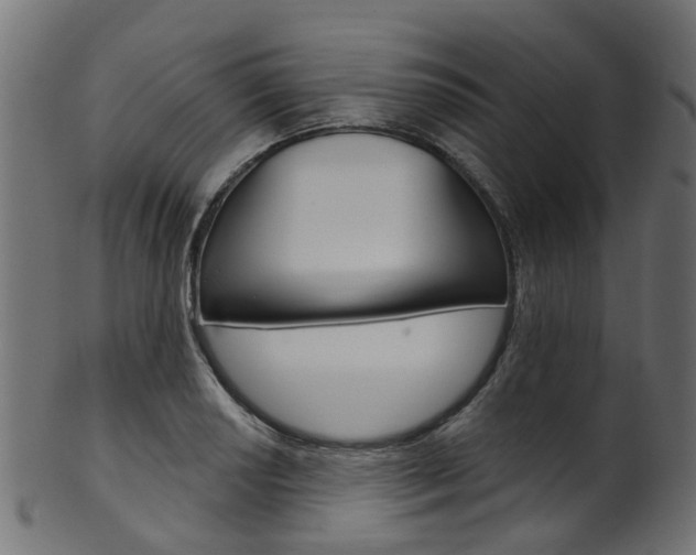 X0000102041034200807181025