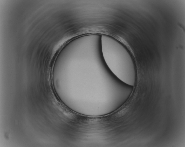 X0000102041035200807181025