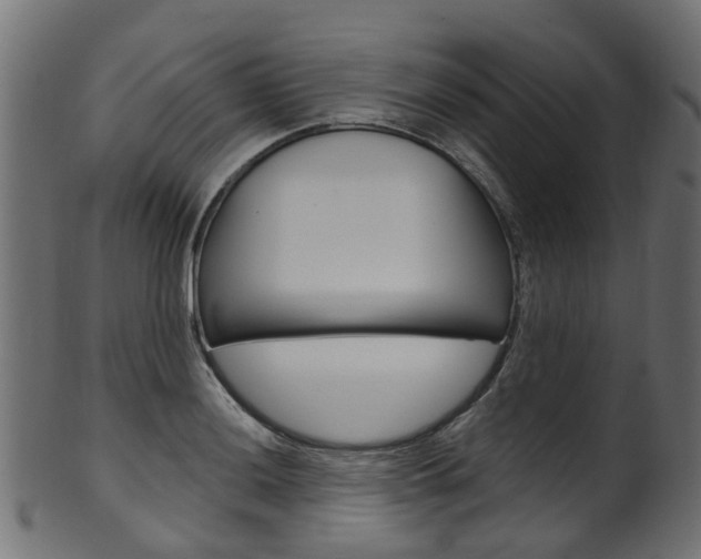 X0000102041036200807181025
