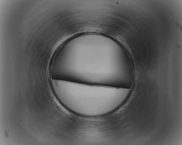 X0000102041037200807181025