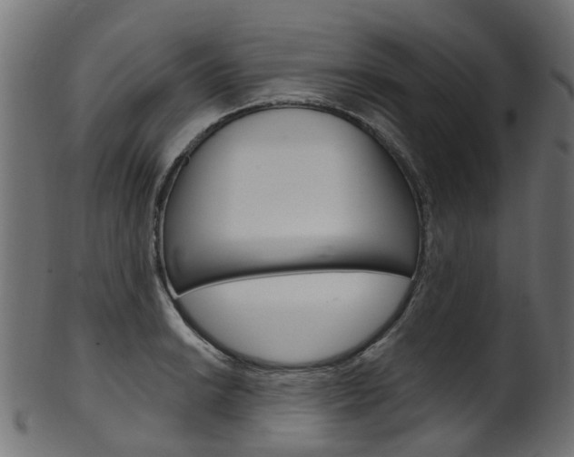 X0000102041038200807181025