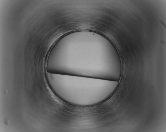 X0000102041039200807181025