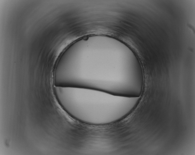 X0000102041040200807181025