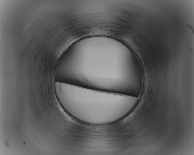 X0000102041041200807181025