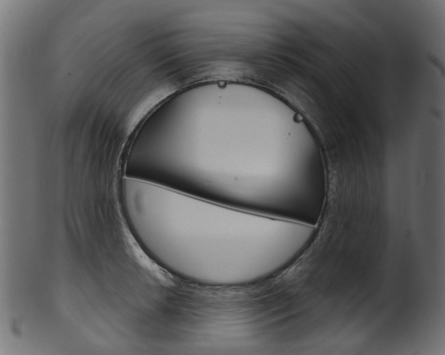X0000102041042200807181025