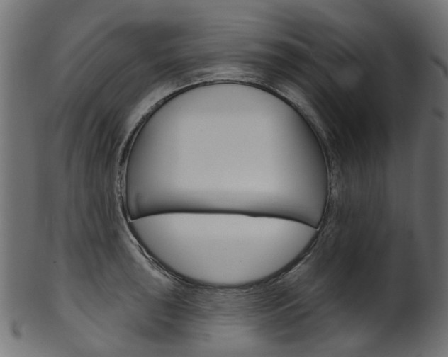 X0000102041043200807181025