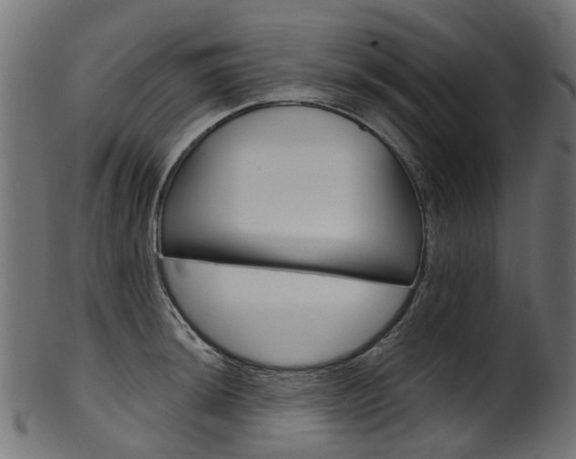 X0000102041044200807181025