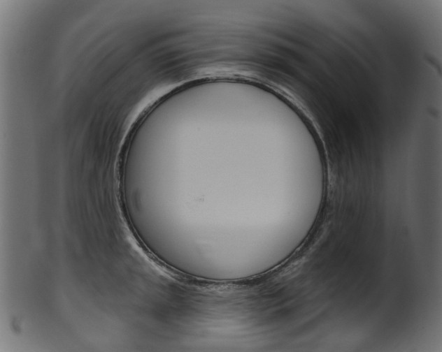 X0000102041045200807181025