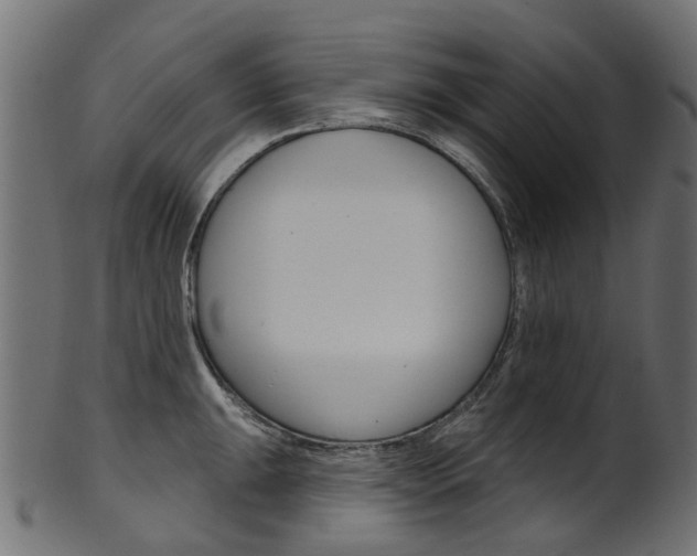 X0000102041047200807181025