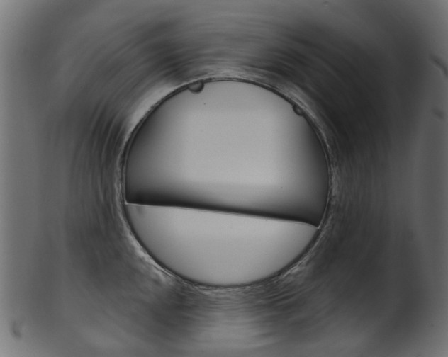 X0000102041048200807181025